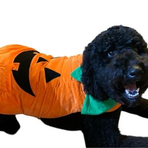 Halloween Pumpkin Dog Costume Hook and Loop Closure Size L